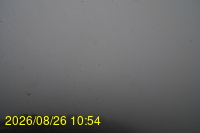Img20260826_105433.jpg