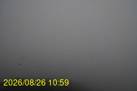 Img20260826_105933.jpg