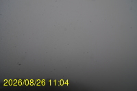 Img20260826_110433.jpg