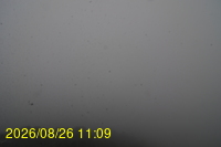Img20260826_110933.jpg