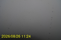 Img20260826_112433.jpg