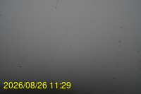 Img20260826_112933.jpg