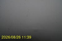 Img20260826_113933.jpg