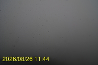 Img20260826_114433.jpg
