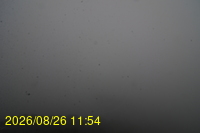 Img20260826_115433.jpg