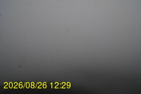 Img20260826_122933.jpg