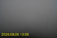 Img20260826_130933.jpg