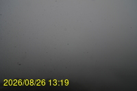Img20260826_131933.jpg