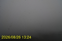 Img20260826_132433.jpg