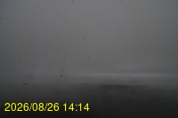 Img20260826_141433.jpg