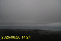 Img20260826_142433.jpg