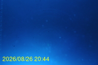 Img20260826_204435.jpg