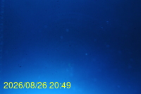 Img20260826_204935.jpg