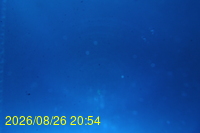 Img20260826_205435.jpg