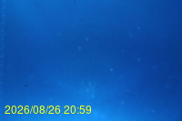 Img20260826_205935.jpg