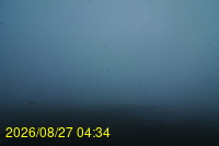 Img20260827_043436.jpg