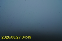 Img20260827_044936.jpg