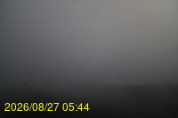 Img20260827_054436.jpg