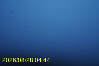 Img20260828_044440.jpg