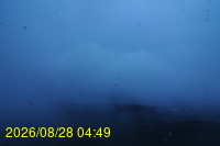 Img20260828_044940.jpg