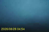 Img20260828_045440.jpg