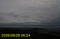 Img20260828_062441.jpg