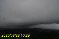 Img20260828_102941.jpg