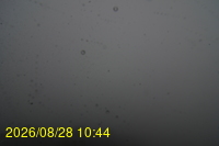Img20260828_104442.jpg