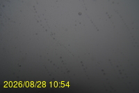 Img20260828_105442.jpg