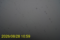 Img20260828_105942.jpg