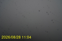 Img20260828_110442.jpg
