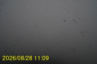 Img20260828_110942.jpg