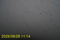 Img20260828_111442.jpg