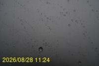 Img20260828_112442.jpg