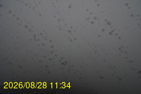 Img20260828_113442.jpg