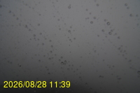 Img20260828_113942.jpg