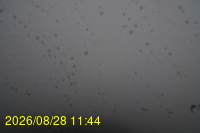 Img20260828_114442.jpg