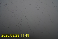 Img20260828_114942.jpg