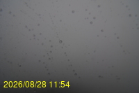 Img20260828_115442.jpg