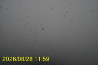 Img20260828_115942.jpg