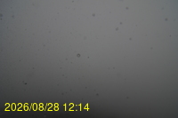 Img20260828_121442.jpg