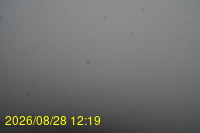 Img20260828_121942.jpg