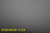 Img20260828_122442.jpg