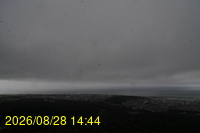 Img20260828_144442.jpg