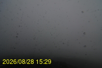 Img20260828_152942.jpg