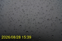 Img20260828_153942.jpg