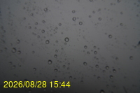 Img20260828_154442.jpg