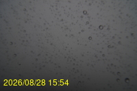 Img20260828_155442.jpg