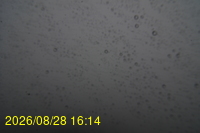 Img20260828_161443.jpg
