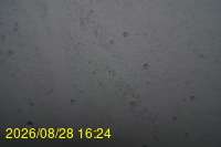 Img20260828_162442.jpg